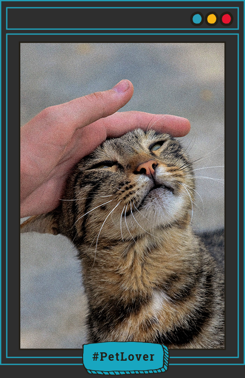 cuál es la enfermedad cardíaca más común en los gatos